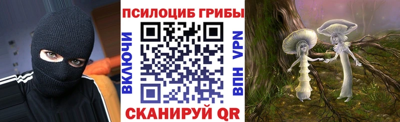 ОМГ ОМГ ТОР  Чебоксары  Галлюциногенные грибы MAGIC MUSHROOMS 